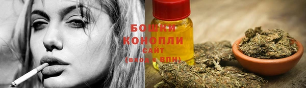 молекула духа Новодвинск